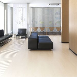 Hospileum Cushion Floor